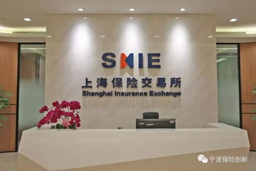上海保交所科技公司正式落戶寧波，開啟科技中介服務新篇章